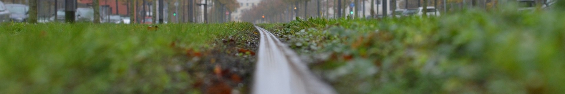 Rasengleis bei Regen, Bahntechnik, Bahnbetrieb